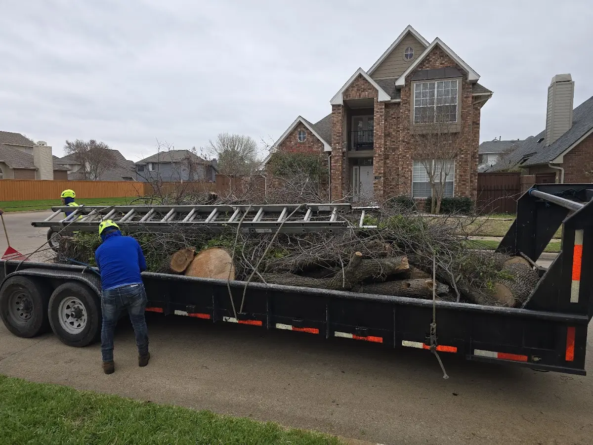 Expert Crown Reduction with proper safety equipment in Blue Springs